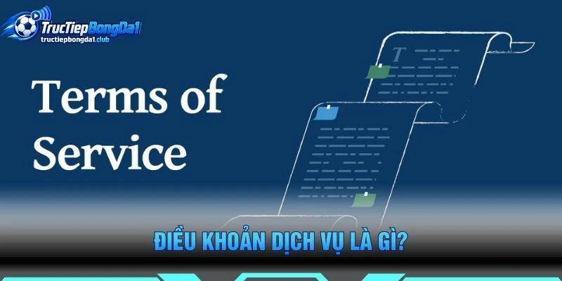 Điều Khoản Dịch Vụ Là Gì?