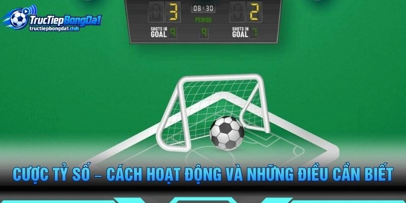 Cược Tỷ Số – Cách Hoạt Động Và Những Điều Cần Biết