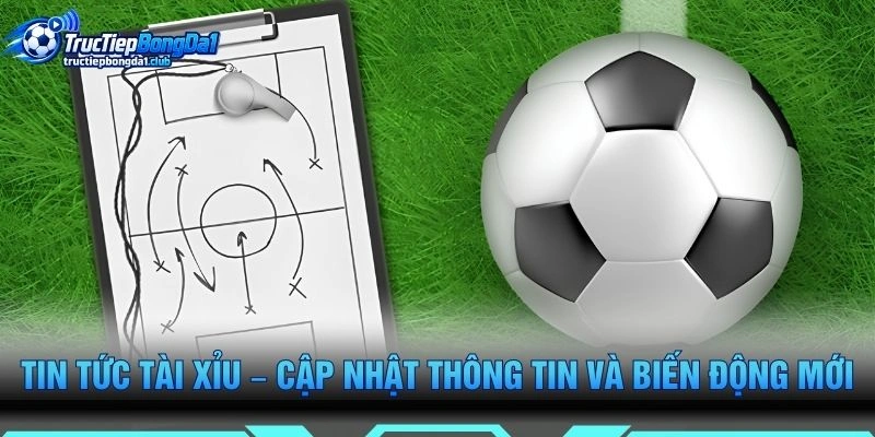Tin Tức Tài Xỉu – Cập Nhật Thông Tin Và Biến Động Mới