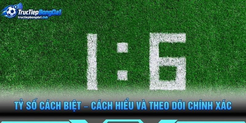 Tỷ Số Cách Biệt – Cách Hiểu Và Theo Dõi Chính Xác