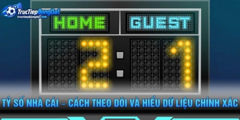 Tỷ Số Nhà Cái – Cách Theo Dõi Và Hiểu Dữ Liệu Chính Xác